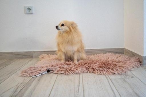 Apartmán Nikola Neum Exteriér fotografie